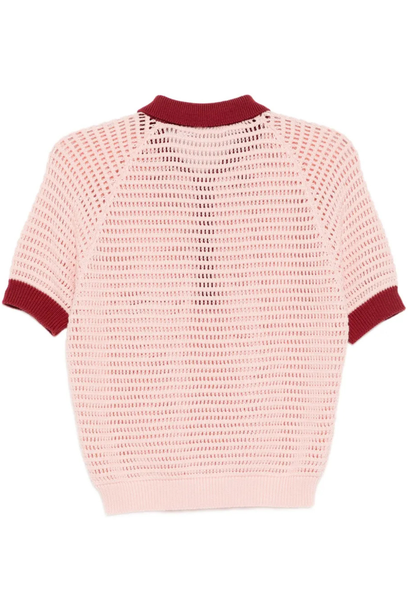 Lessi Blush Crochet Top in Pink