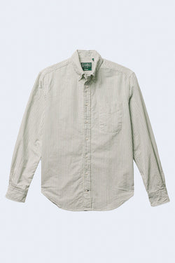 Stripe Brushed Fall Oxford Long Sleeve Button Down in Green
