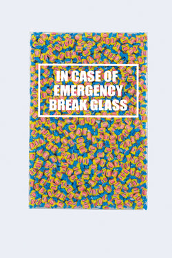 In Case of Emergency Break Glass By RobynBlair